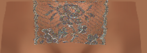 Lowerbod#002_Lace_1024_Tex