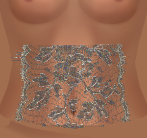 Upperbod#002_Lace1024_Tex