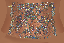 Upperbod#002_Lace512_Tex