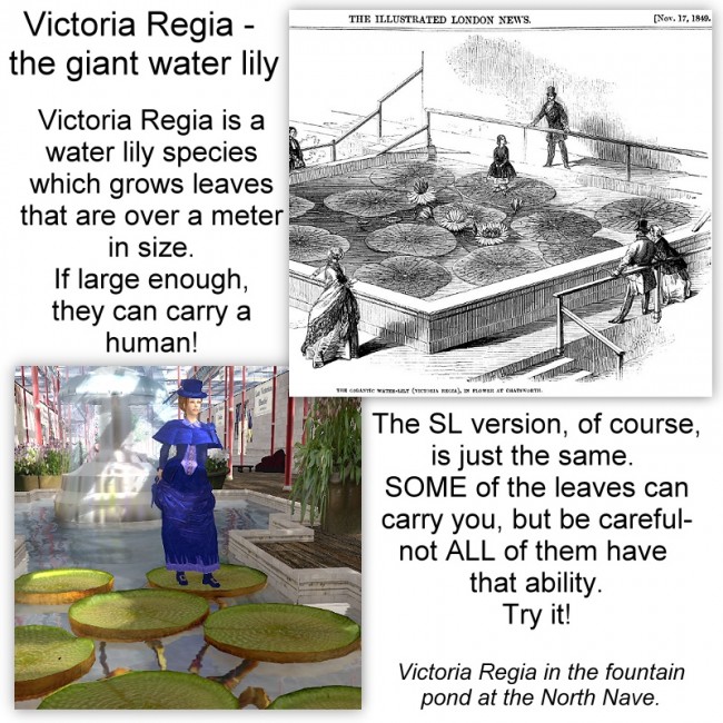 VictoriaRegia
